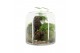 Arrangementen kamerplanten 90630: Landscape 