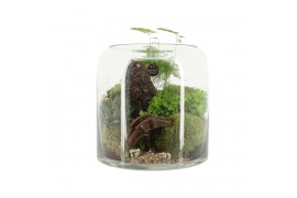 Arrangementen kamerplanten 90630: Landscape