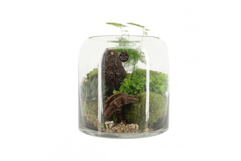 Arrangementen kamerplanten 90630: Landscape Arrangementen kamerplanten 90630: Landscape