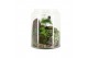 Arrangementen kamerplanten 90631: Landscape 