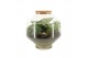 Arrangementen kamerplanten 90717: Terrarium arrangement 