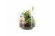 Arrangementen kamerplanten 31498: Maritiem arrangement 2 pp 