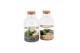 Arrangementen waterplanten 90527: Marimo moss ball 