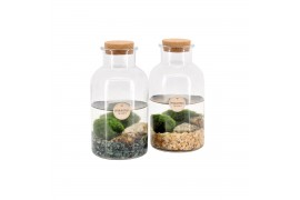 Arrangementen waterplanten 90527: Marimo moss ball