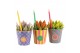 Arrangementen kamerplanten 31566: Love school arrangement 1 pp 