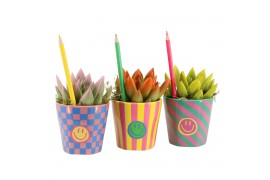 Arrangementen kamerplanten 31566: Love school arrangement 1 pp