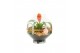 Arrangementen kamerplanten 31490: Maritiem arrangement 2 pp 