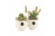 Arrangementen kamerplanten 31523: Maritiem arrangement 1 pp 