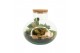 Arrangementen kamerplanten 90705: Terrarium arrangement 2 pp 