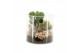 Arrangementen kamerplanten 31517: Maritiem arrangement 2 pp 