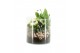 Arrangementen kamerplanten 31519: Maritiem arrangement 2 pp 