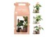 Arrangementen kamerplanten 90642: Scents 
