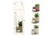 Arrangementen kamerplanten 90756: Scents arrangement 