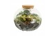 Arrangementen kamerplanten 90675: Terrarium 