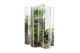 Arrangementen kamerplanten 90686: Landscape 
