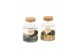 Arrangementen waterplanten 90544: Marimo moss ball 