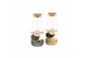 Arrangementen waterplanten 90545: Marimo moss ball 