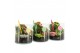 Arrangementen kamerplanten 31574: Love school arrangement 2 pp 