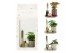 Arrangementen kamerplanten 90710: Scents arrangement 