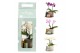 Arrangementen kamerplanten 90619: Scents arrangement 