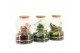 Arrangementen kamerplanten 31593: Love school arrangement 2 pp 