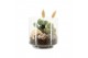 Arrangementen kamerplanten 31501: Maritiem arrangement 2 pp 