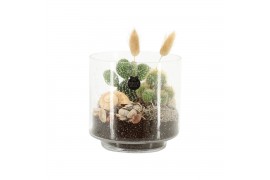 Arrangementen kamerplanten 31501: Maritiem arrangement 2 pp