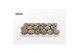 Lithops hookeri Lithops Mix (group) 