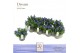 Gentiana scabra luis easy blue DolcAmore® Steeketiket 