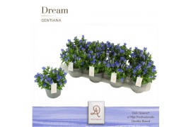 Gentiana scabra luis easy blue DolcAmore® Steeketiket