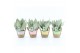 Sansevieria trifasciata moonshine Sansevieria Moonshine in Noah Pastel 