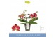 Phalaenopsis Dioro Magnifique 2 spike 16 bl. 2 tak/plnt 