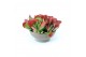 Kalanchoe thyrsiflora Flapjack in basalt steen 