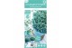 Chamaecyparis pisifera Blue Moon 