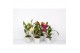 Cattleya 1 tak kleinbloemig mix 
