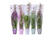 Orchidee MoreLIPS® Brassia mix 1 tak met taupe, witte, groene, roze en 