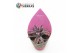 Succulenten Kalanchoe Pink Butterfly (sierra) 