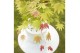 Acer shirasawanum moonrise 
