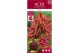 Acer palmatum shaina 