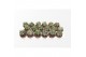 Astrophytum ornatum 