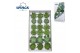 Echeveria snij Echeveria Green Mix (Wincx) Cutfl (6 Spcs) 999 