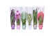 Orchidee 2 tak mix morelips met gekleurde showhoes 