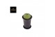 Cactus Gymno Spineless XL 