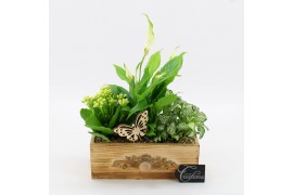 Arrangementen kamerplanten ESCR-2510W Essentials 3 pp