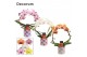 Phalaenopsis mix Boog - 2 tak, 14+ bloem - Nine keramiek - Bubblicious 