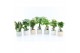Kamerplanten mix exotic green mix in sandy keramiek 