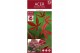 Acer palmatum bloodgood extra kwaliteit 