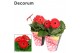 Gerbera flori line rood 2+ bl (diverse kleurtinten) potcover Decorum 
