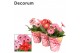 Gerbera flori line roze decorum potcover 