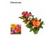 Gerbera mix twister belicht 3+ in hoes decorum 